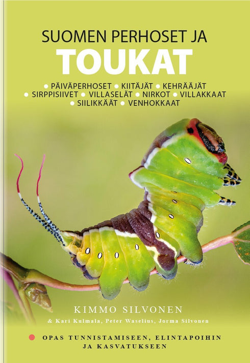 Suomen Perhoset ja toukat - opas tunnistamiseen, elintapoihin ja kasvatukseen, Kimmo Silvennoinen  4/2024